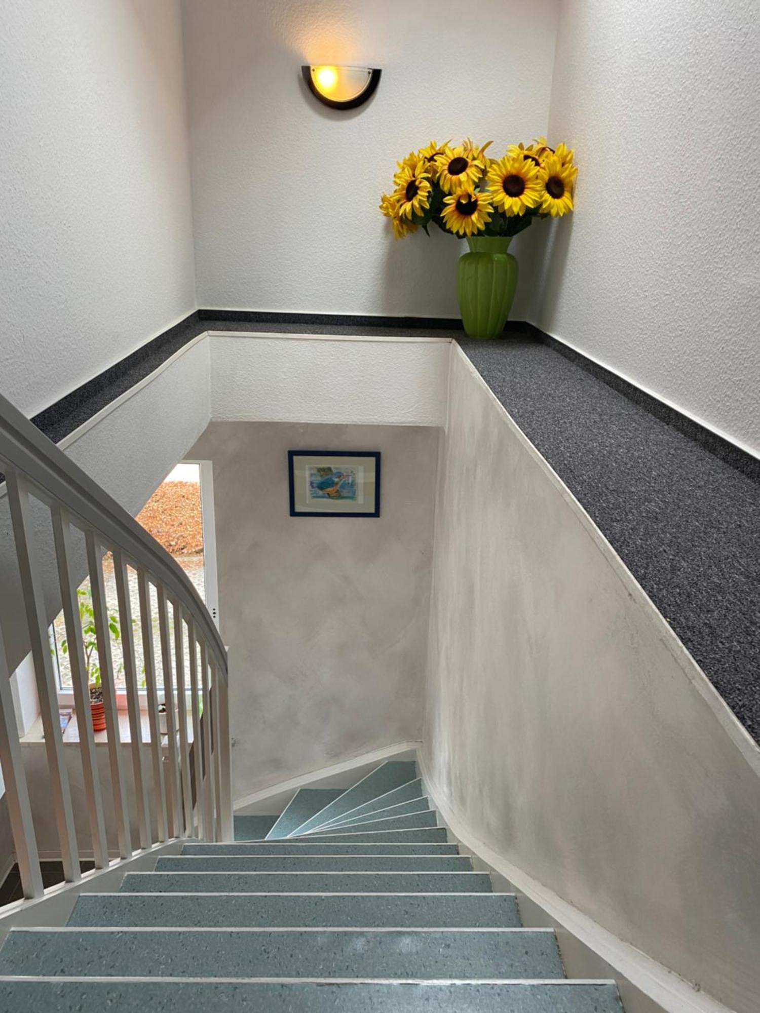 Haus Seewind Warnemünde Rostock Exterior foto